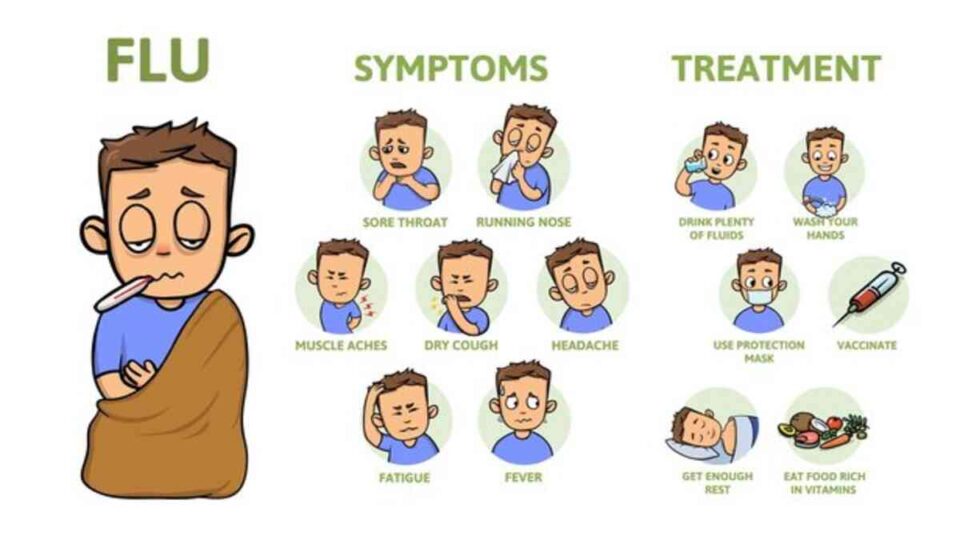 Infographic on was tun bei fiebriger Erkältung showing causes, symptoms, and quick relief tips.
