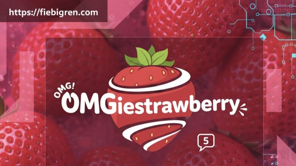 OMgiestrawberry dipped in chocolate and decorated with colorful toppings