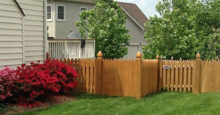 Best Fence